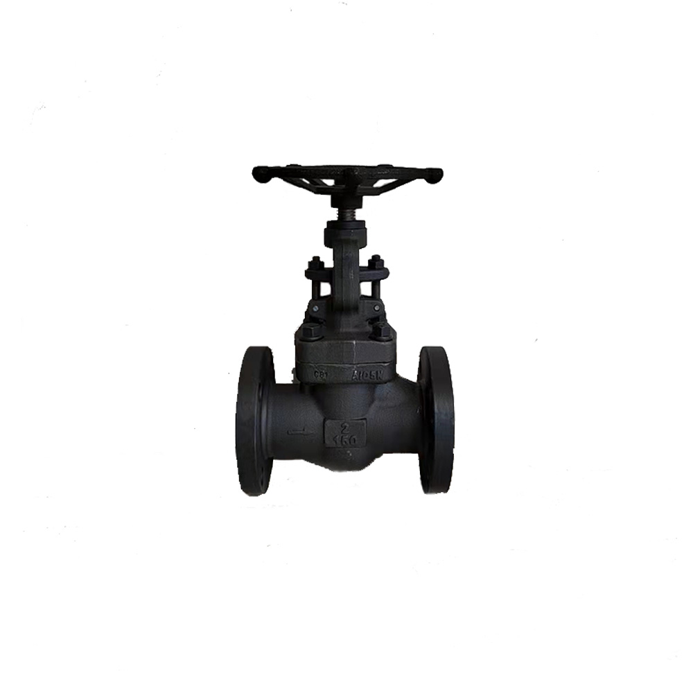 forged globe valve